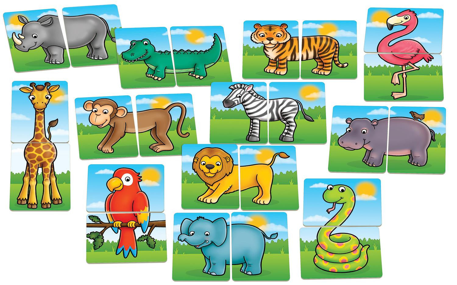 Jungle Heads and Tails