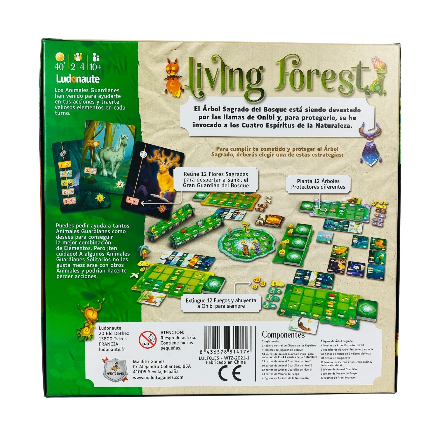 Living Forest en español