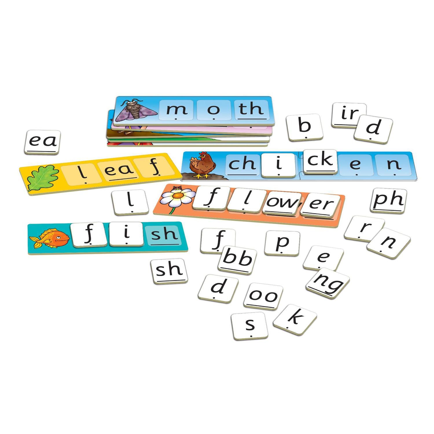 Match and Spell Next Steps