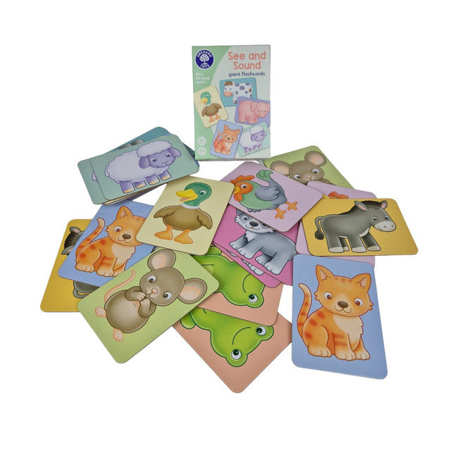 See and Sounds Flashcards
