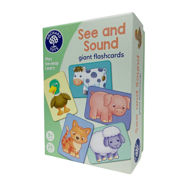 See and Sounds Flashcards
